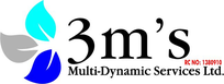 3M’s Multi Dynamics Services