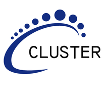 Cluster