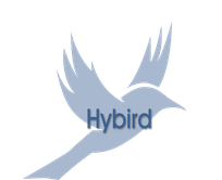 Hybird